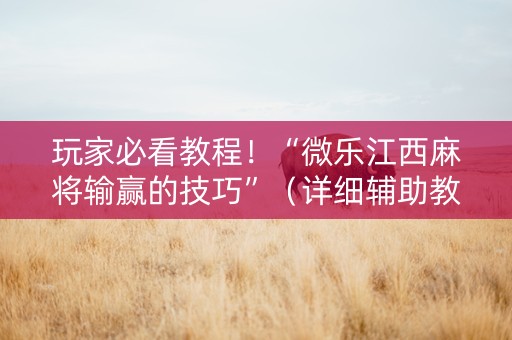 玩家必看教程！“微乐江西麻将输赢的技巧”（详细辅助教程）-哔哩哔哩