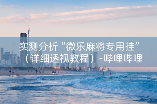 实测分析“微乐麻将专用挂”（详细透视教程）-哔哩哔哩