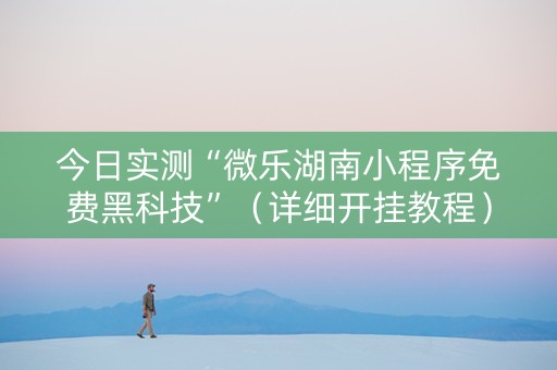 今日实测“微乐湖南小程序免费黑科技”（详细开挂教程）-哔哩哔哩