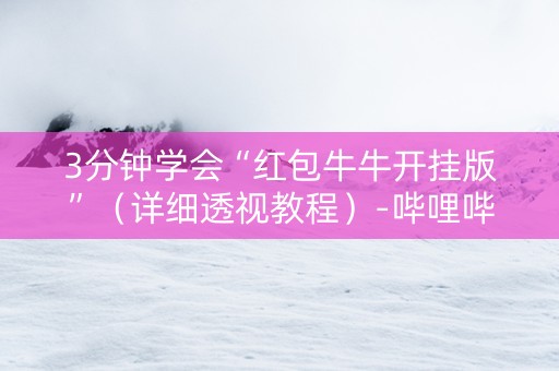 3分钟学会“红包牛牛开挂版”（详细透视教程）-哔哩哔哩