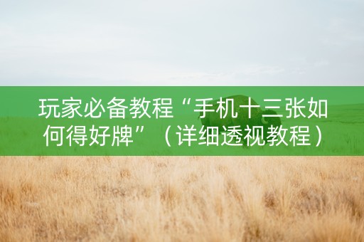 玩家必备教程“手机十三张如何得好牌”（详细透视教程）-哔哩哔哩