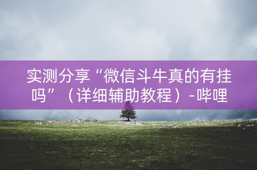 实测分享“微信斗牛真的有挂吗”（详细辅助教程）-哔哩哔哩