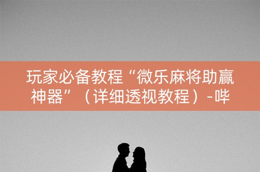 玩家必备教程“微乐麻将助赢神器”（详细透视教程）-哔哩哔哩