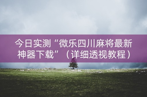 今日实测“微乐四川麻将最新神器下载”（详细透视教程）-哔哩哔哩