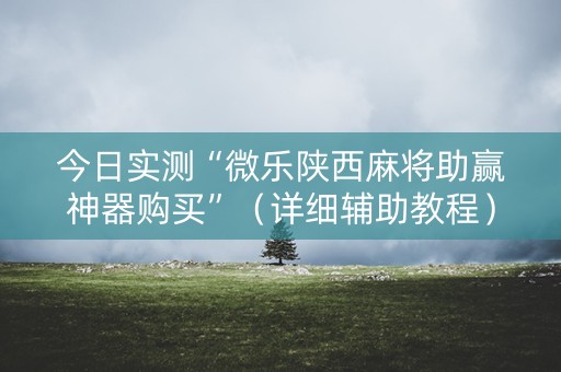 今日实测“微乐陕西麻将助赢神器购买”（详细辅助教程）-哔哩哔哩