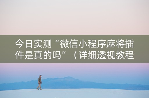 今日实测“微信小程序麻将插件是真的吗”（详细透视教程）-哔哩哔哩
