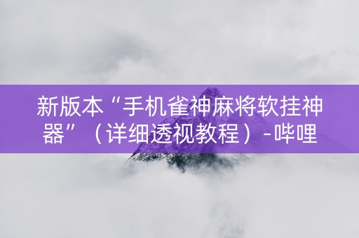 新版本“手机雀神麻将软挂神器”（详细透视教程）-哔哩哔哩