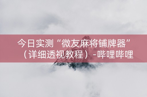 今日实测“微友麻将铺牌器”（详细透视教程）-哔哩哔哩