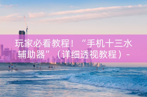 玩家必看教程！“手机十三水辅助器”（详细透视教程）-哔哩哔哩