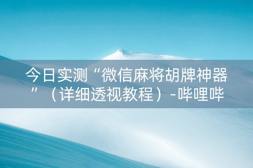 今日实测“微信麻将胡牌神器”（详细透视教程）-哔哩哔哩