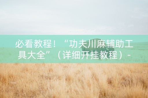 必看教程！“功夫川麻辅助工具大全”（详细开挂教程）-哔哩哔哩