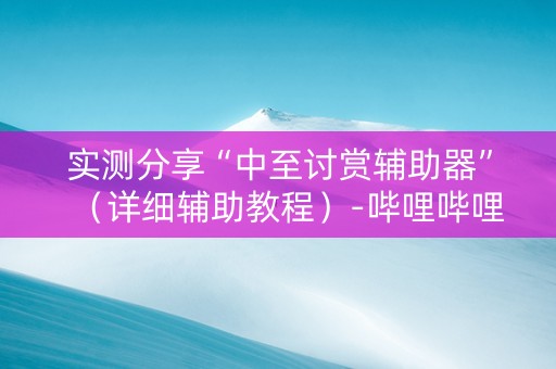 实测分享“中至讨赏辅助器”（详细辅助教程）-哔哩哔哩