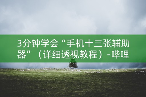 3分钟学会“手机十三张辅助器”（详细透视教程）-哔哩哔哩