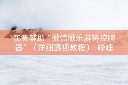 实测辅助“微信微乐麻将控牌器”（详细透视教程）-哔哩哔哩