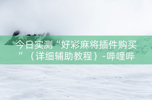 今日实测“好彩麻将插件购买”（详细辅助教程）-哔哩哔哩