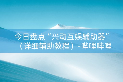 今日盘点“兴动互娱辅助器”（详细辅助教程）-哔哩哔哩
