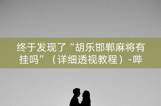 终于发现了“胡乐邯郸麻将有挂吗”（详细透视教程）-哔哩哔哩