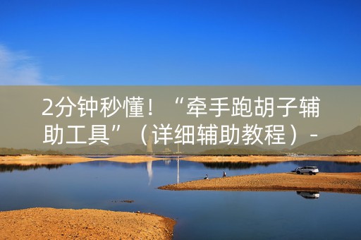 2分钟秒懂！“牵手跑胡子辅助工具”（详细辅助教程）-哔哩哔哩