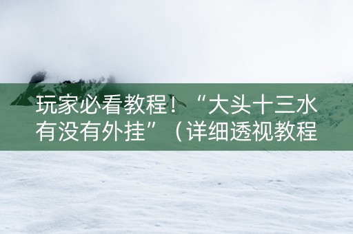 玩家必看教程！“大头十三水有没有外挂”（详细透视教程）-哔哩哔哩