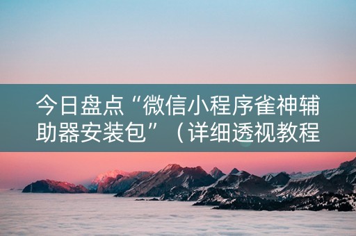 今日盘点“微信小程序雀神辅助器安装包”（详细透视教程）-哔哩哔哩