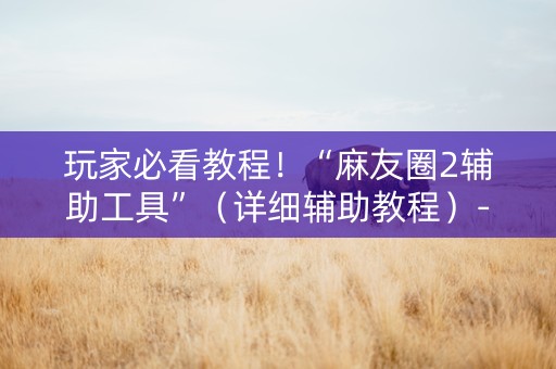 玩家必看教程！“麻友圈2辅助工具”（详细辅助教程）-哔哩哔哩