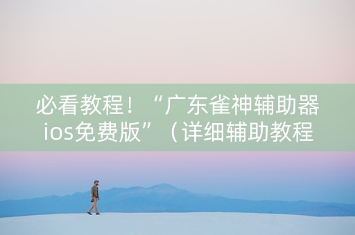 必看教程！“广东雀神辅助器ios免费版”（详细辅助教程）-哔哩哔哩
