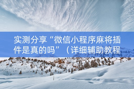 实测分享“微信小程序麻将插件是真的吗”（详细辅助教程）-哔哩哔哩