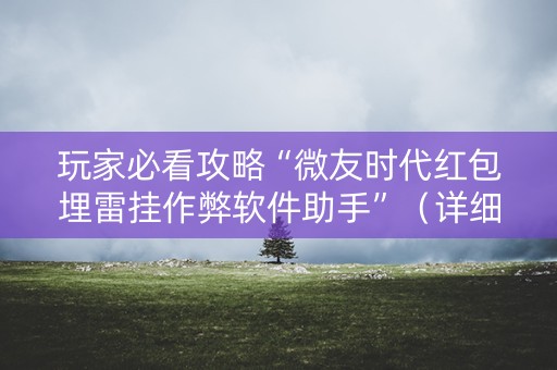 玩家必看攻略“微友时代红包埋雷挂作弊软件助手”（详细透视教程）-哔哩哔哩