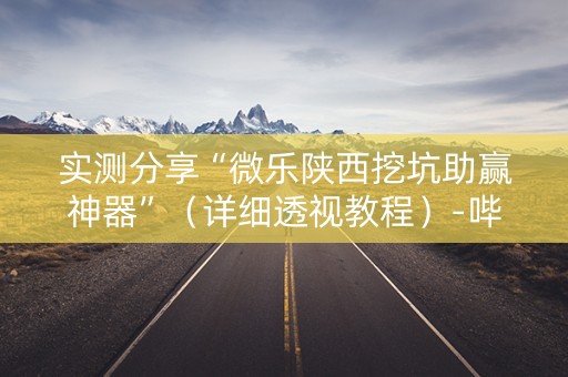 实测分享“微乐陕西挖坑助赢神器”（详细透视教程）-哔哩哔哩