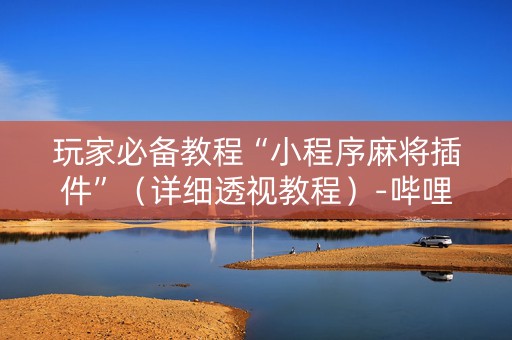 玩家必备教程“小程序麻将插件”（详细透视教程）-哔哩哔哩