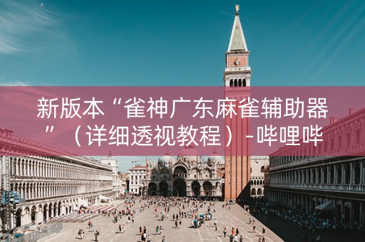 新版本“雀神广东麻雀辅助器”（详细透视教程）-哔哩哔哩