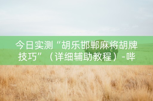 今日实测“胡乐邯郸麻将胡牌技巧”（详细辅助教程）-哔哩哔哩