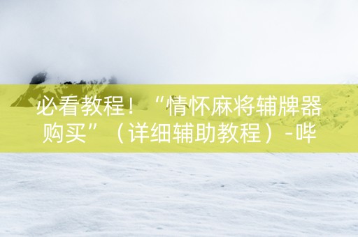 必看教程！“情怀麻将辅牌器购买”（详细辅助教程）-哔哩哔哩