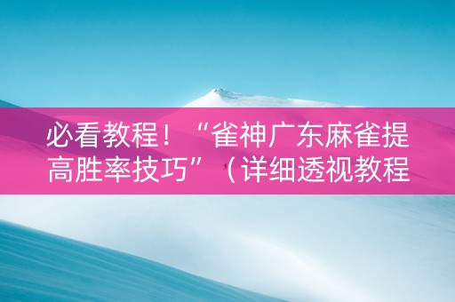必看教程！“雀神广东麻雀提高胜率技巧”（详细透视教程）-哔哩哔哩