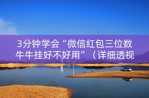 3分钟学会“微信红包三位数牛牛挂好不好用”（详细透视教程）-哔哩哔哩