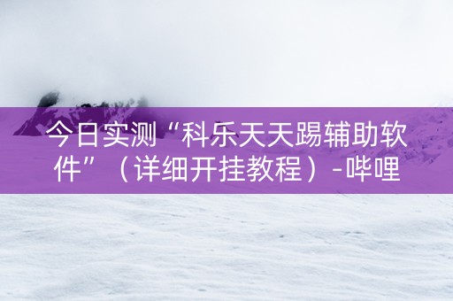 今日实测“科乐天天踢辅助软件”（详细开挂教程）-哔哩哔哩