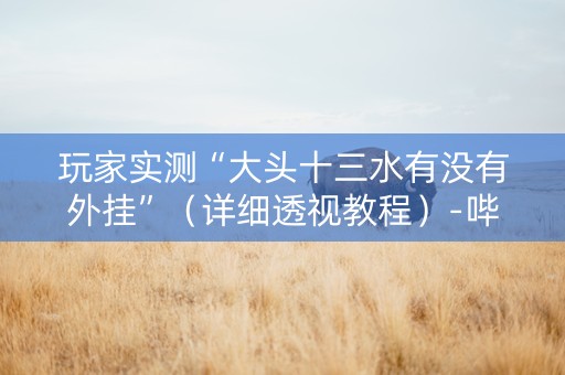 玩家实测“大头十三水有没有外挂”（详细透视教程）-哔哩哔哩
