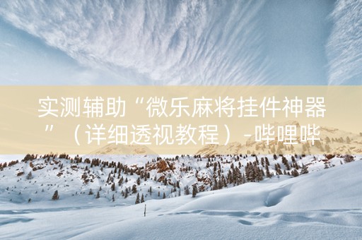 实测辅助“微乐麻将挂件神器”（详细透视教程）-哔哩哔哩