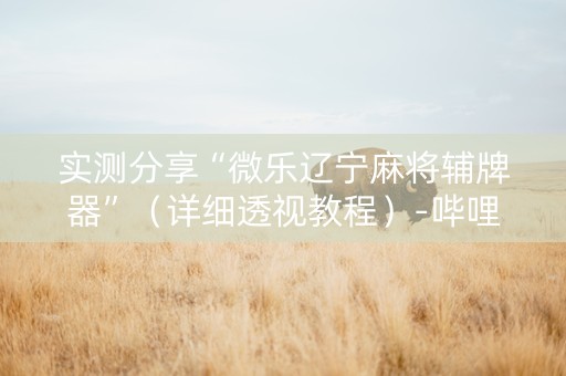 实测分享“微乐辽宁麻将辅牌器”（详细透视教程）-哔哩哔哩