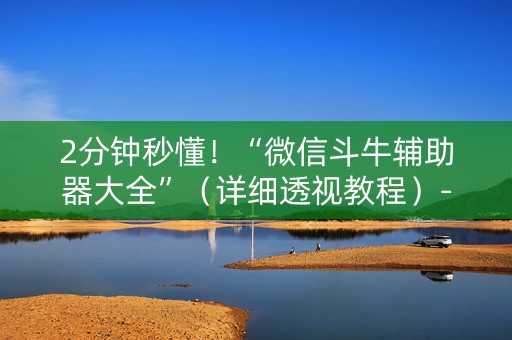 2分钟秒懂！“微信斗牛辅助器大全”（详细透视教程）-哔哩哔哩