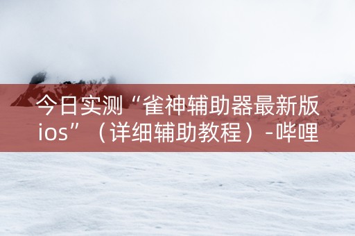 今日实测“雀神辅助器最新版ios”（详细辅助教程）-哔哩哔哩