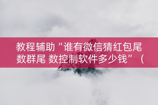 教程辅助“谁有微信猜红包尾 数群尾 数控制软件多少钱”（详细透视教程）-哔哩哔哩