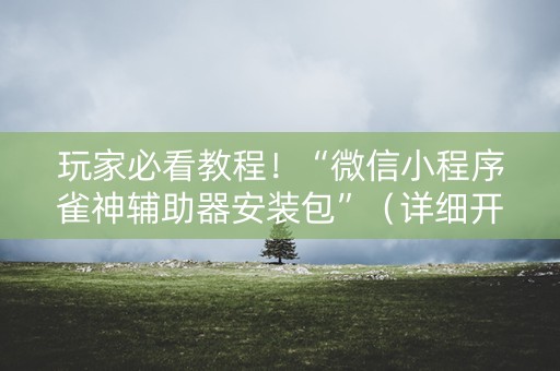 玩家必看教程！“微信小程序雀神辅助器安装包”（详细开挂教程）-哔哩哔哩