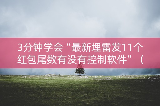 3分钟学会“最新埋雷发11个红包尾数有没有控制软件”（详细透视教程）-哔哩哔哩