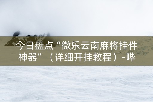 今日盘点“微乐云南麻将挂件神器”（详细开挂教程）-哔哩哔哩