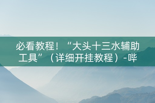 必看教程！“大头十三水辅助工具”（详细开挂教程）-哔哩哔哩