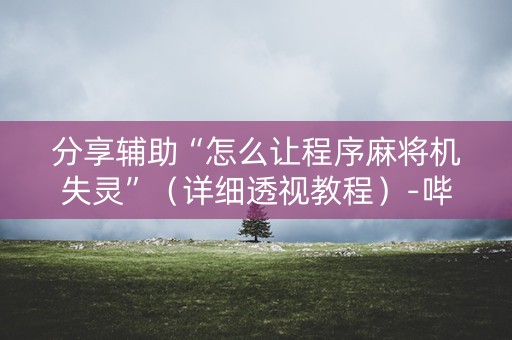 分享辅助“怎么让程序麻将机失灵”（详细透视教程）-哔哩哔哩