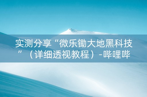 实测分享“微乐锄大地黑科技”（详细透视教程）-哔哩哔哩