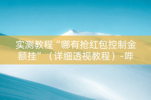 实测教程“哪有抢红包控制金额挂”（详细透视教程）-哔哩哔哩