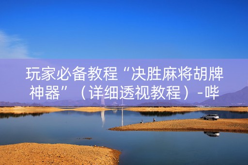 玩家必备教程“决胜麻将胡牌神器”（详细透视教程）-哔哩哔哩